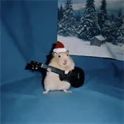 Gemini Omni - Adorable hamster wearing a Santa hat playing a tiny guitar in a cozy setting.